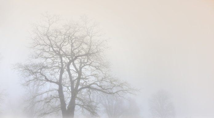 погода, зима, туман, метель