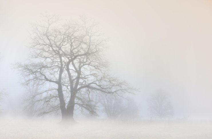 погода, зима, туман, метель