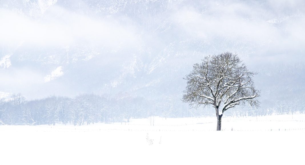 метель, снег, мороз, ветер