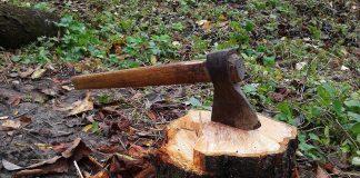 лесоруб, лес, пень, черные лесорубы, рубить лес