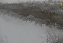 Кадр из съемки Управления Россельхознадзора по РХ