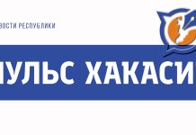Логотип Пульс Хакасии