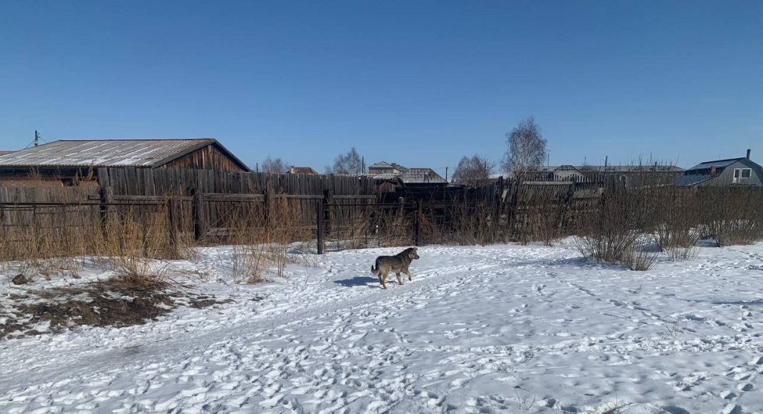 Фото ГСУ СК по РХ