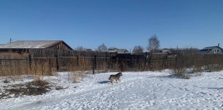 Фото ГСУ СК по РХ