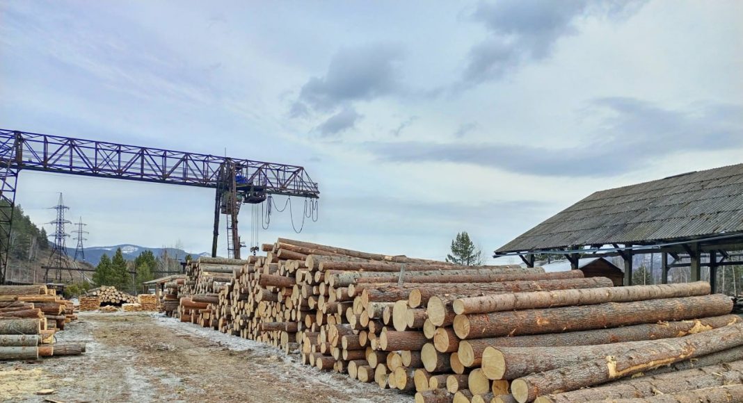 Фото из телеграм-канала Управления Россельхознадзора по РХ и РТ