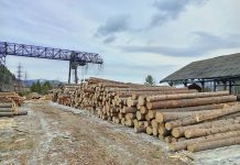 Фото из телеграм-канала Управления Россельхознадзора по РХ и РТ