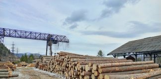 Фото из телеграм-канала Управления Россельхознадзора по РХ и РТ