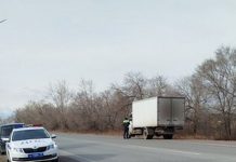 Фото из телеграм-канала Россельхознадзора РХ