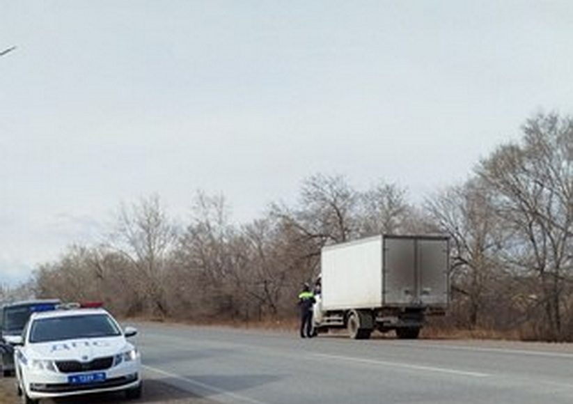 Фото из телеграм-канала Россельхознадзора РХ