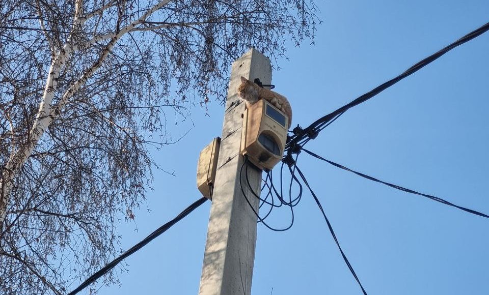 Фото предоставлено пресс-службой «Россети Сибирь»