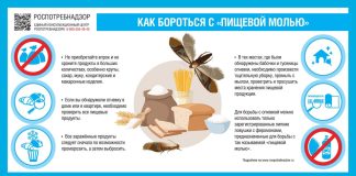 Источник: Роспотребнадзор РХ