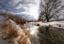 весна, погода, ручей, тает снег, тепло