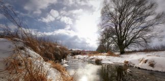 весна, погода, ручей, тает снег, тепло