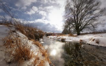 весна, погода, ручей, тает снег, тепло
