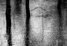 паводок, лужа, весна