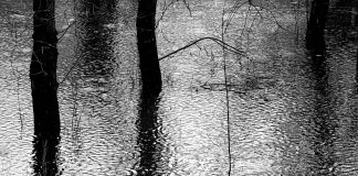 паводок, лужа, весна