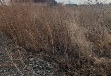 Чапаево. Фото с телеграм канала Александра Мяхара