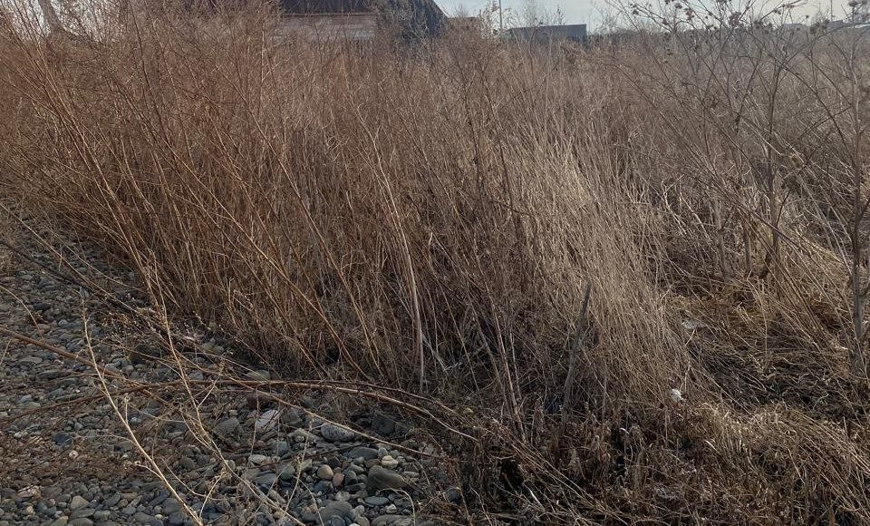 Чапаево. Фото с телеграм канала Александра Мяхара