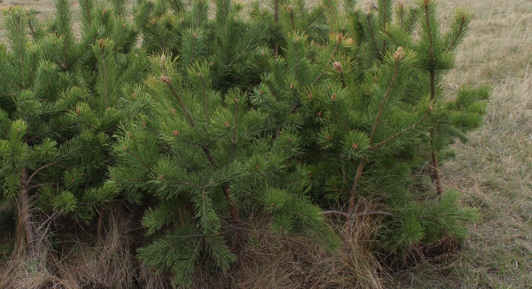 Фото: Абакан.рф Фото: Абакан.рф