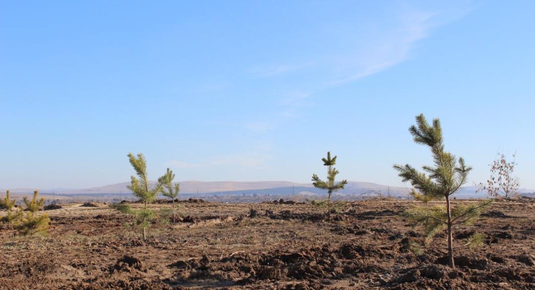 Фото: Абакан.рф