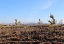 Фото: Абакан.рф