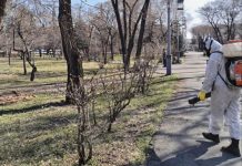 Фото: Абакан.рф