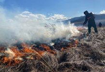 Фото из телеграм-канала Минлеса РХ