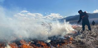 Фото из телеграм-канала Минлеса РХ