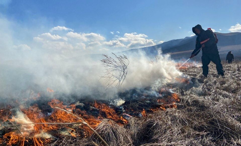 Фото из телеграм-канала Минлеса РХ
