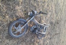 Фото из телеграм-канала Минлеса РХ