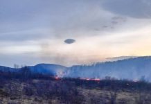 Фото из телеграм-канала Минлеса РХ