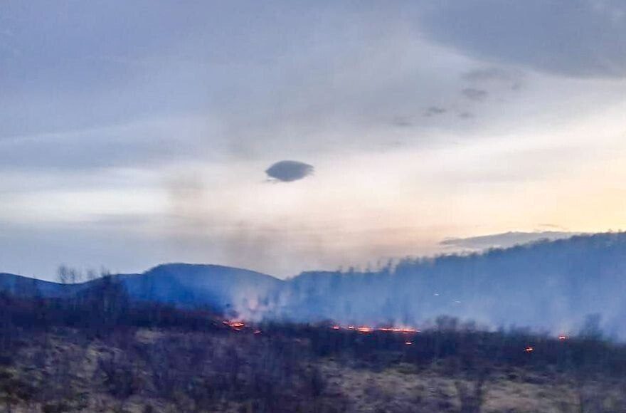 Фото из телеграм-канала Минлеса РХ