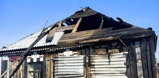 Фото из телеграм-канала Елены Гопиной