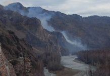 Фото из телеграм-канала Минлеса РХ