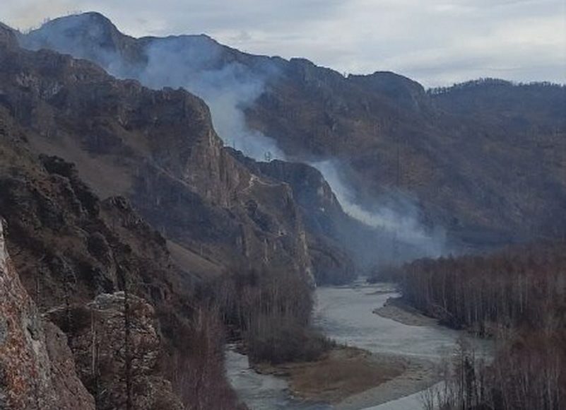 Фото из телеграм-канала Минлеса РХ