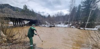 Нарушения в золотодобыче: «Артель старателей Хакасия» и участок «Балыксинский» Фото из телеграм-канала Минприроды РХ