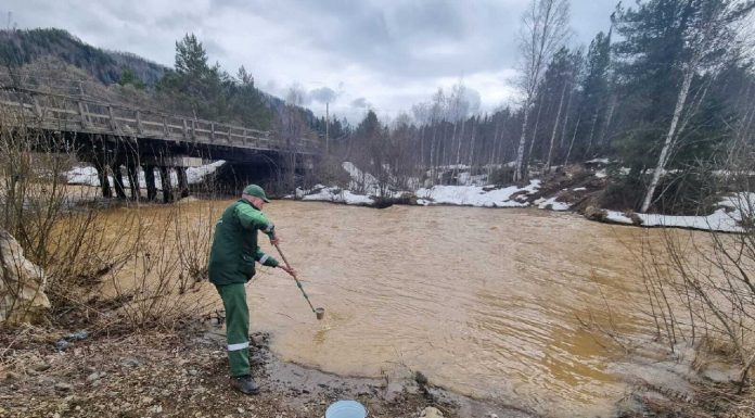 Фото из телеграм-канала Минприроды РХ