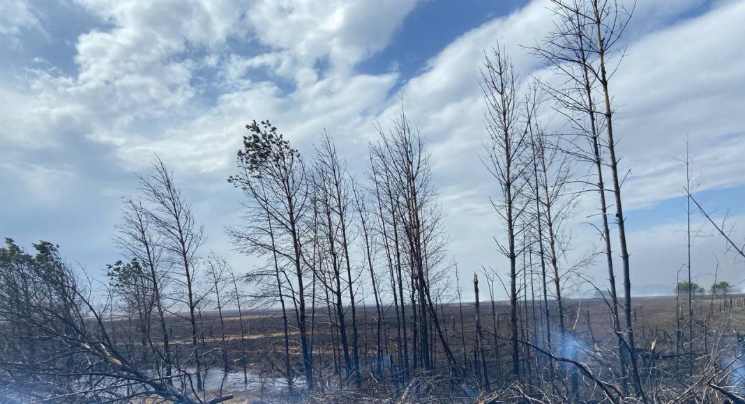 Фото из телеграм-канала Администрация Минусинска