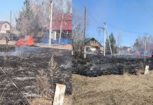 Фото из телеграм-канала Администрация Минусинска