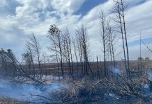 Фото из телеграм-канала Администрация Минусинска