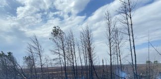 Фото из телеграм-канала Администрация Минусинска