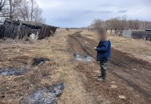 Фото из телеграм-канала МВД 24