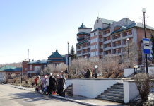 Фото предоставлено пресс-службой СФР