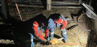 Фото предоставлено пресс-службой «Россети Сибирь»