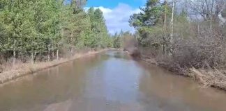 Кадр съемки ГАИ