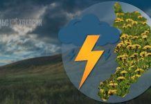 Грозы, град, шквалы ветра прогнозируют по Хакасии ночью 20 июля