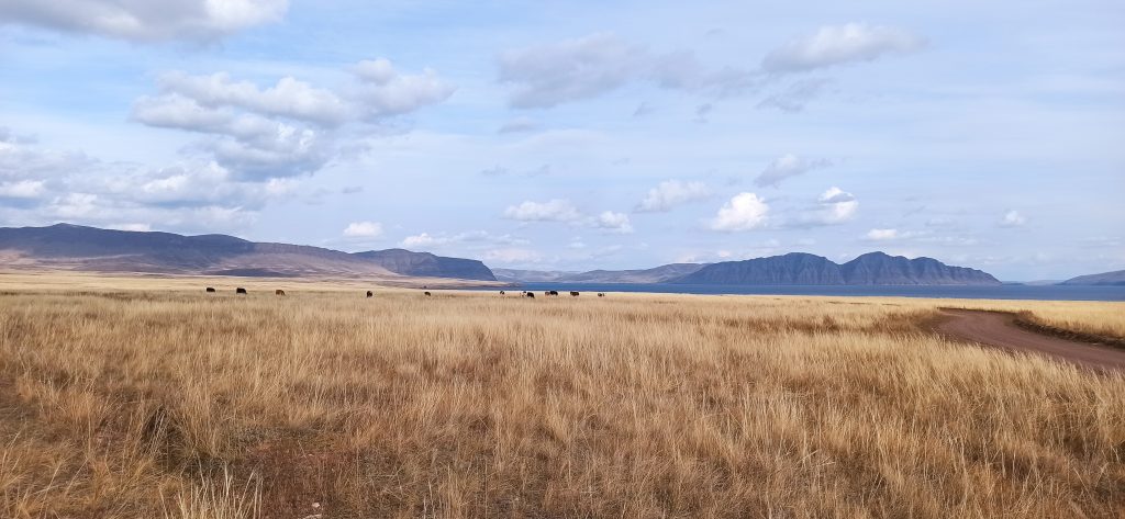 Оглахты. Фото предоставлено Иваном Кукарцевым