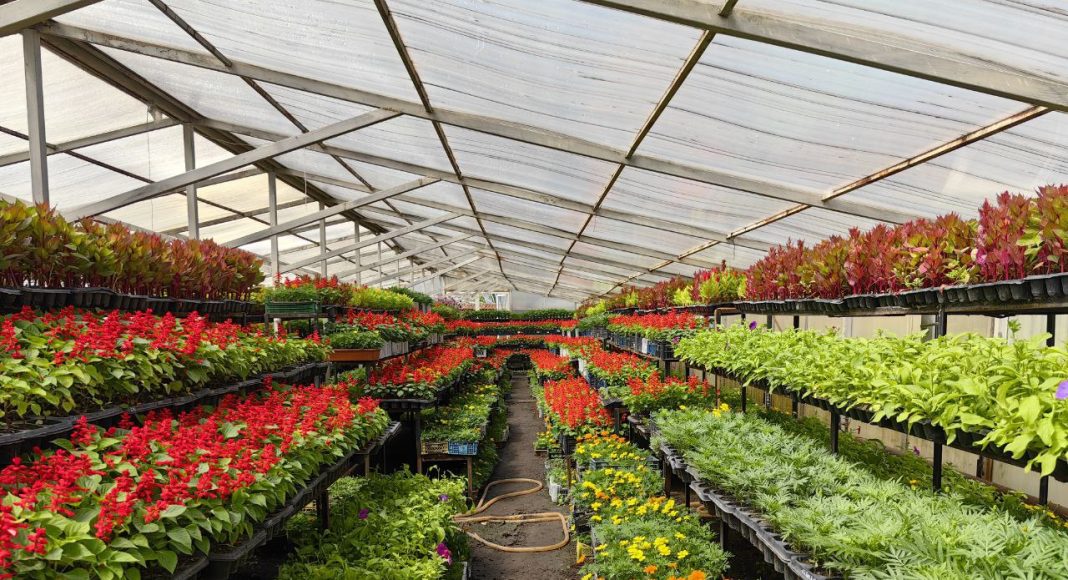 Фото: Абакан.рф