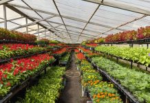 Фото: Абакан.рф