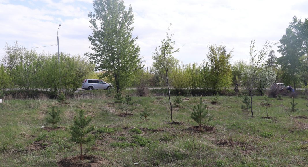 Фото: Абакан.рф